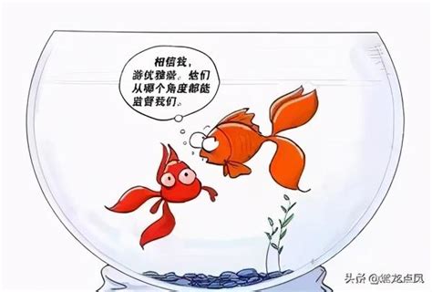 魚缸效應|金魚缸效應:金魚缸效應，又稱“金魚缸法則”、“魚缸法則”等。是一。